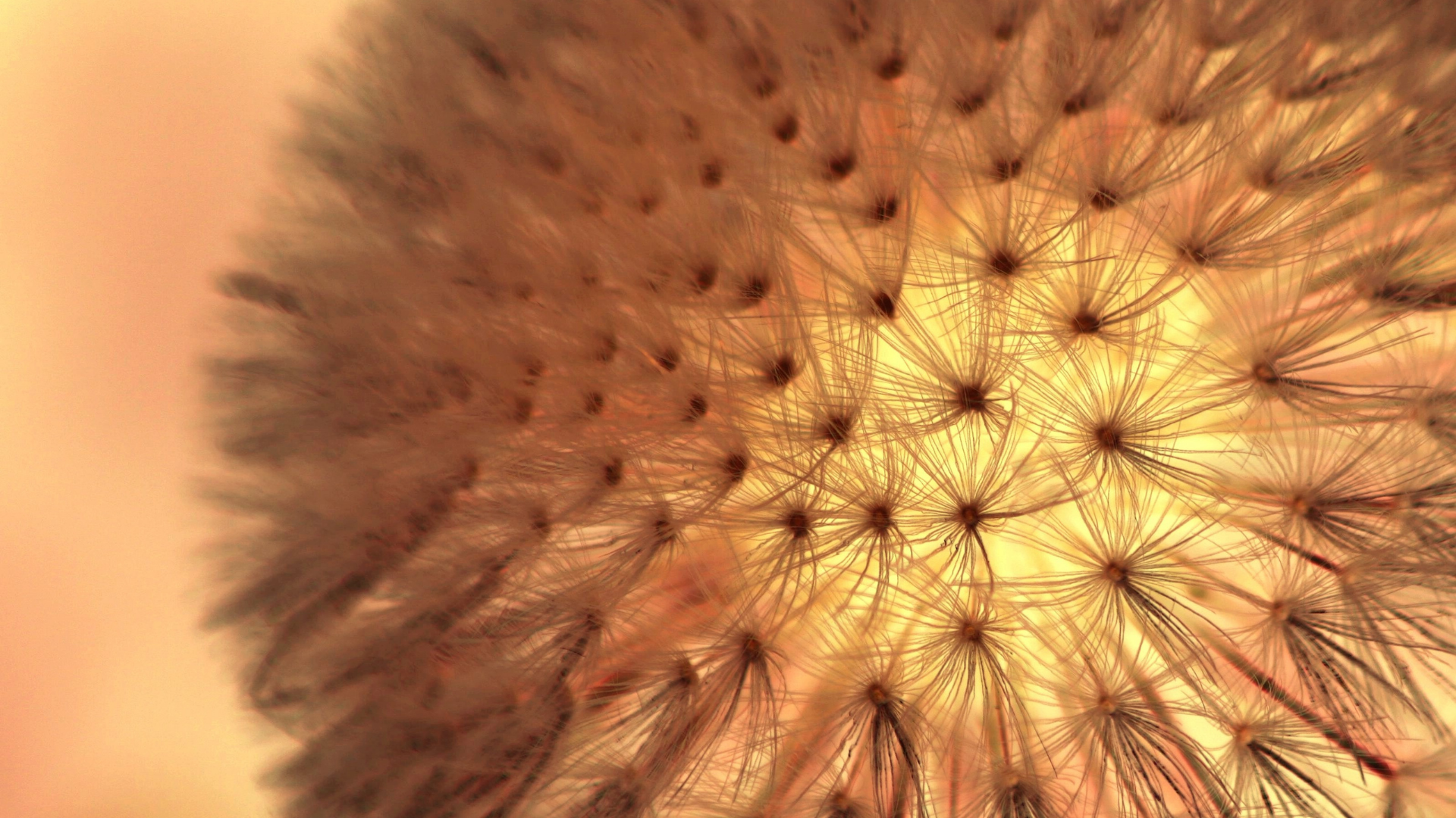 Profissionais em ambiente colaborativo representando a Reunião Aberta do Consórcio Acadêmico de Saúde Integrativa.