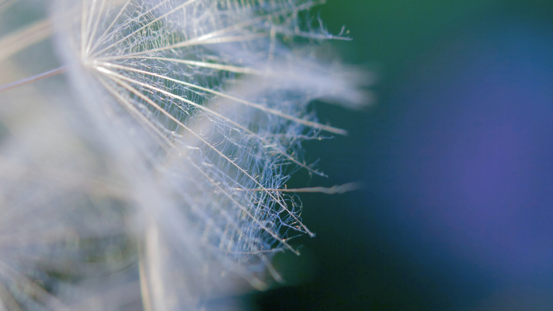Participantes em reunião da Assembleia Geral CABSIN, focada no planejamento estratégico da saúde integrativa no Brasil.