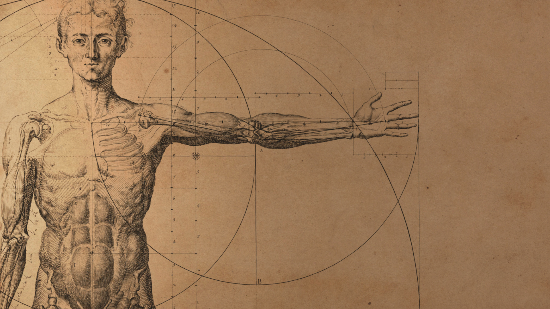 Ilustração de silhueta humana em meditação com elementos naturais, simbolizando saúde mental e espiritualidade.