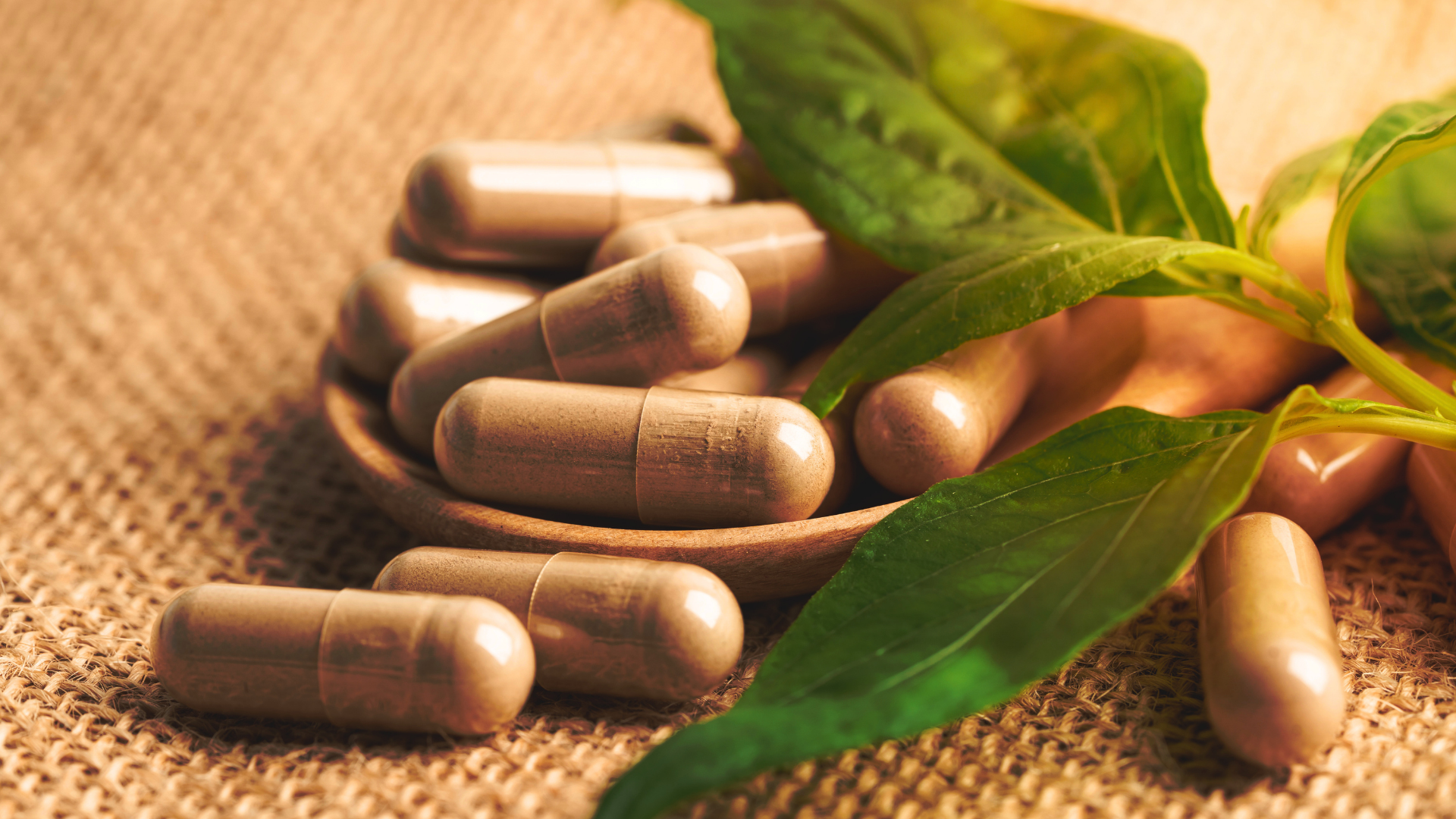 Pesquisador em laboratório analisando amostras de plantas medicinais para a regulação de fitoterápicos com segurança.